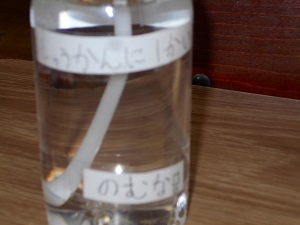 DSCN3418 DSCN3418