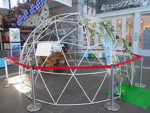 DSCN3396