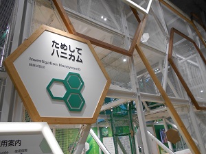 DSCN3401