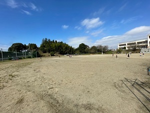 IMG_0322