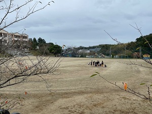 IMG_0427 IMG_0427