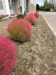 IMG_0457 IMG_0457