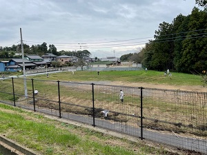 IMG_0475 IMG_0475