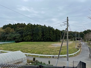 IMG_0479 IMG_0479