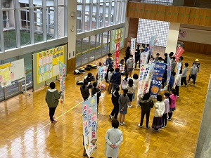 IMG_0500 IMG_0500