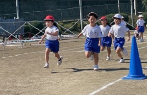 IMG_0540 IMG_0540