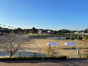 IMG_0556 IMG_0556