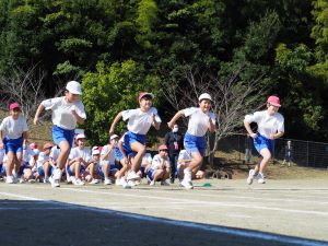 6年個人 6年個人