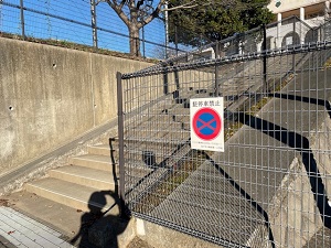 IMG_0683 IMG_0683