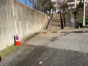 IMG_0684 IMG_0684