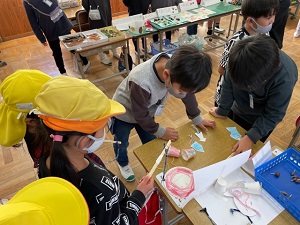 IMG_0786 IMG_0786