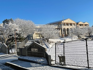 IMG_1109 IMG_1109