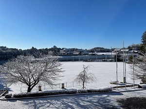 IMG_1110 IMG_1110