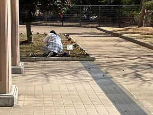 IMG_1495