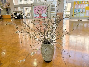IMG_1778