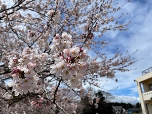 IMG_1973 IMG_1973