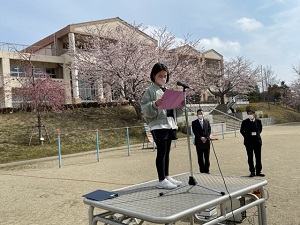IMG_1985 IMG_1985
