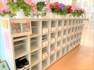IMG_2039 IMG_2039