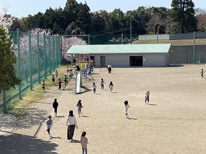 IMG_2057 IMG_2057