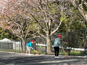 IMG_2096 IMG_2096