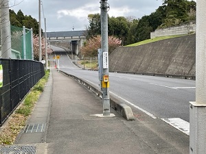 IMG_2128 IMG_2128