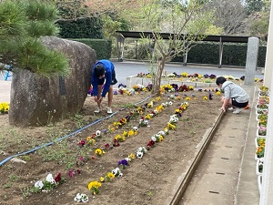 IMG_2131 IMG_2131