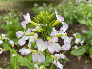 IMG_2254 IMG_2254