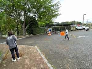 IMG_2374 IMG_2374