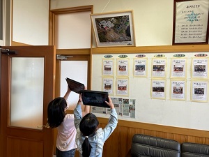 IMG_2416 IMG_2416