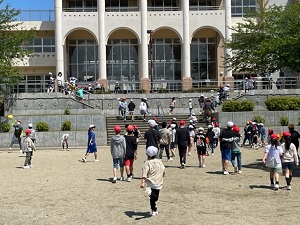 IMG_2410 IMG_2410