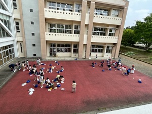 IMG_2447 IMG_2447