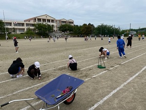 IMG_2531 IMG_2531