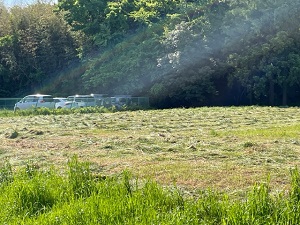IMG_2486 IMG_2486