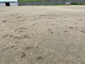 IMG_2593 IMG_2593