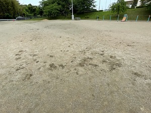 IMG_2595 IMG_2595