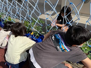 IMG_2600 IMG_2600