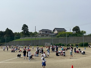 IMG_2668 IMG_2668