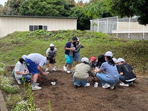 IMG_2703 IMG_2703