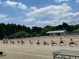 IMG_2761 IMG_2761