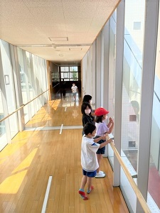 IMG_2775 IMG_2775