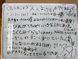 IMG_2743 IMG_2743