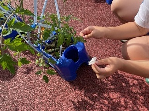 IMG_2777 IMG_2777