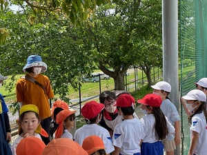 IMG_2783 IMG_2783