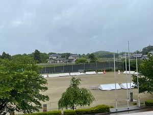 IMG_2798 IMG_2798