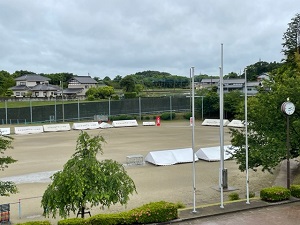 IMG_2799 IMG_2799