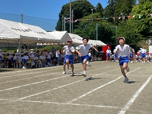 IMG_2833 IMG_2833