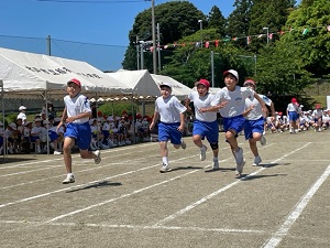 IMG_2834 IMG_2834