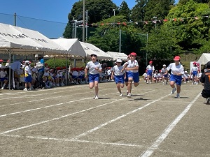 IMG_2837 IMG_2837