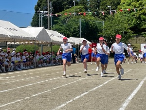 IMG_2839 IMG_2839