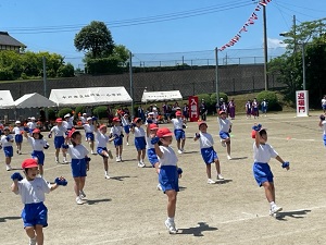 IMG_2850 IMG_2850